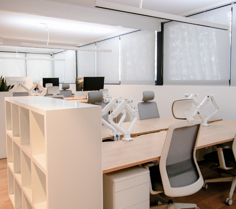 Workplace Ergonomics in Bulgaria: Why It’s a Business Investment